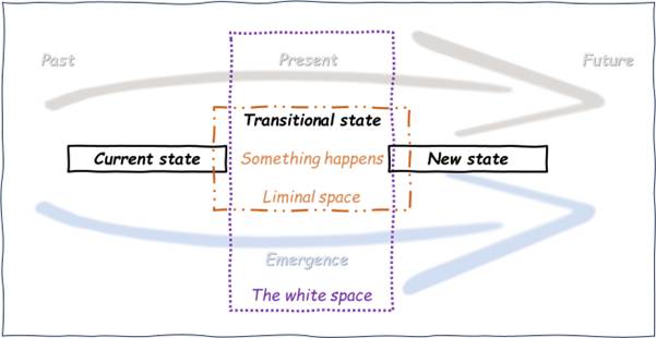 co-design-in-the-white-space